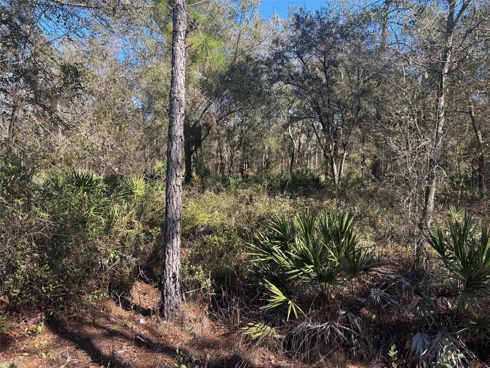 0 County Rd 54, FL 33849