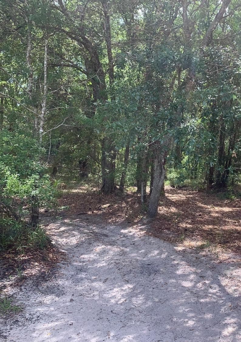 0 County Rd 54, FL 33849