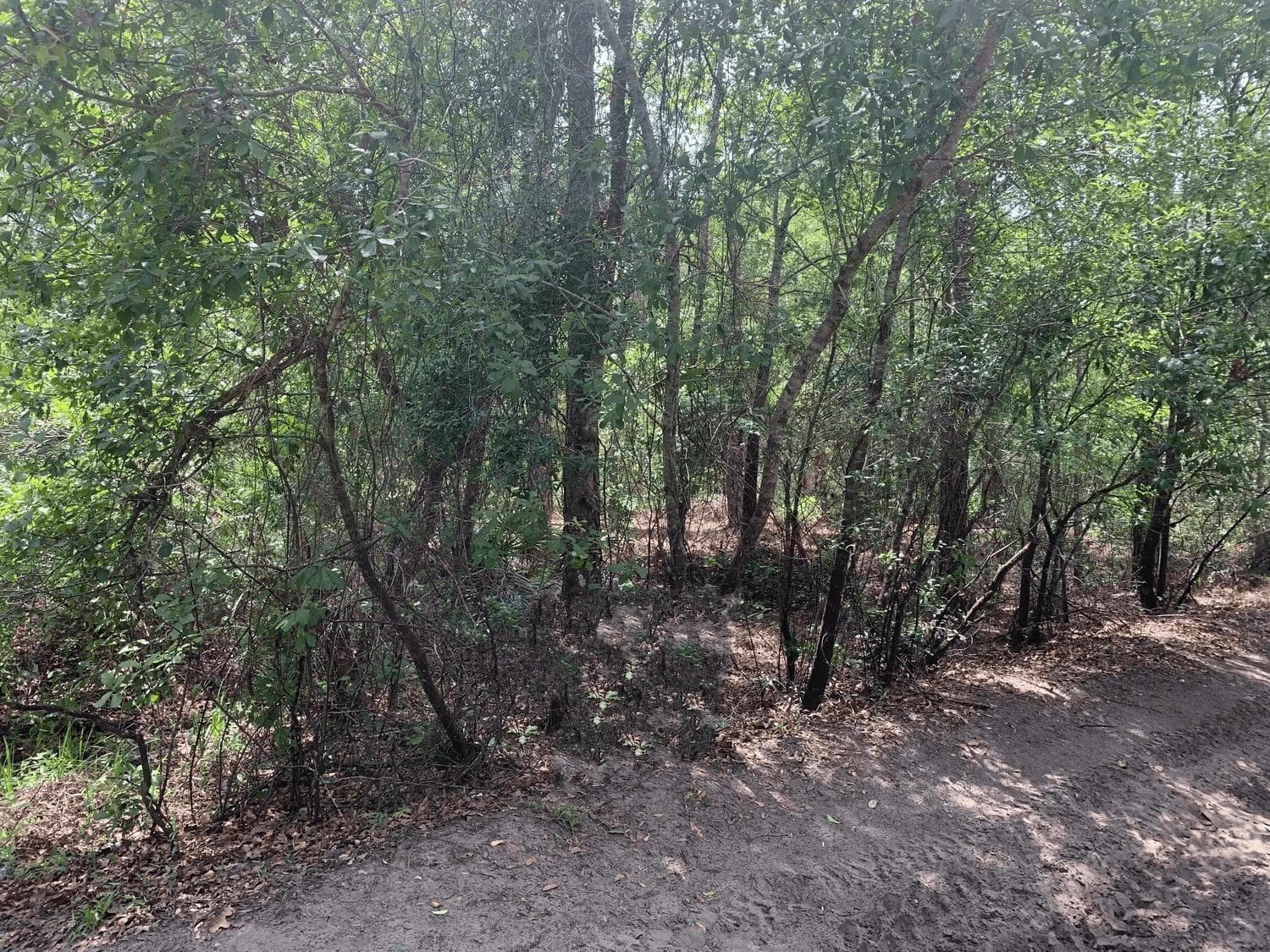 0 County Rd 54, FL 33849