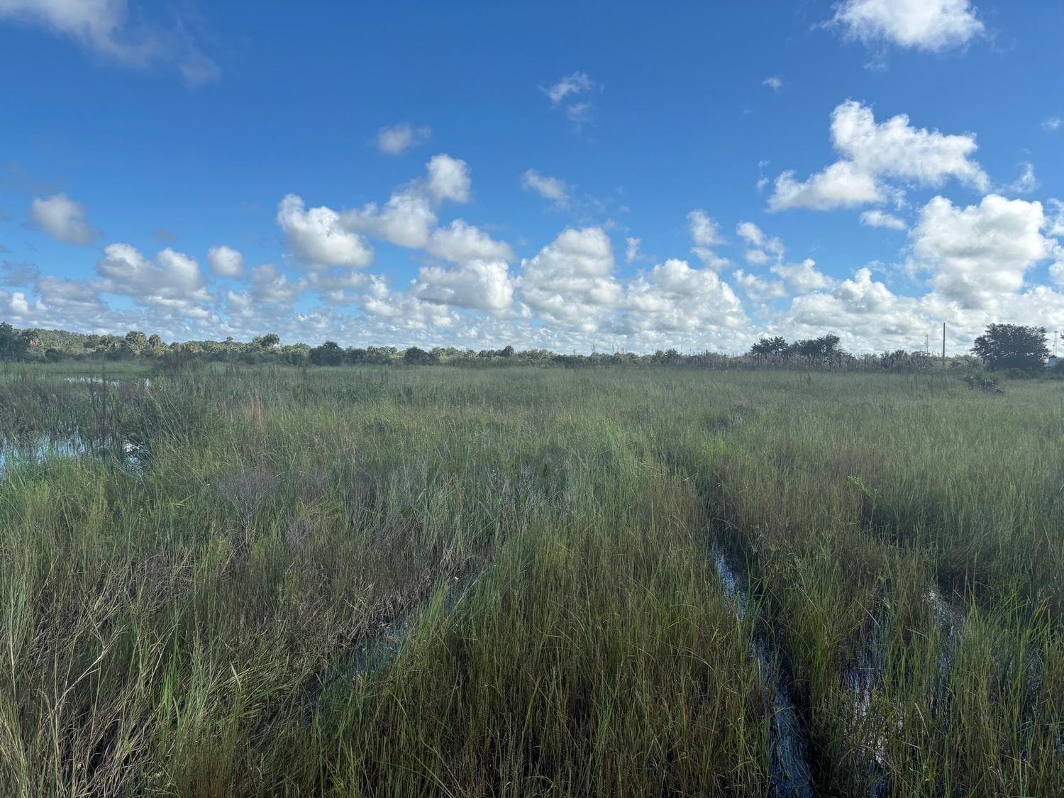 0 NW 306th Street, Okeechobee FL 34972
