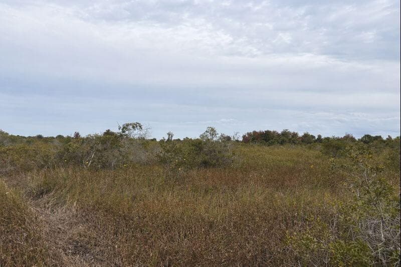 0 NW 310th Street, Okeechobee FL 34972