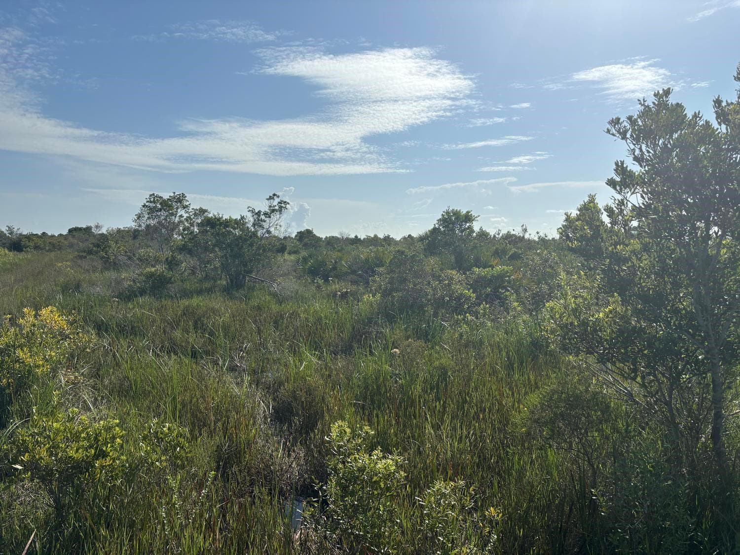 0 NW 318th Street, Okeechobee FL 34972