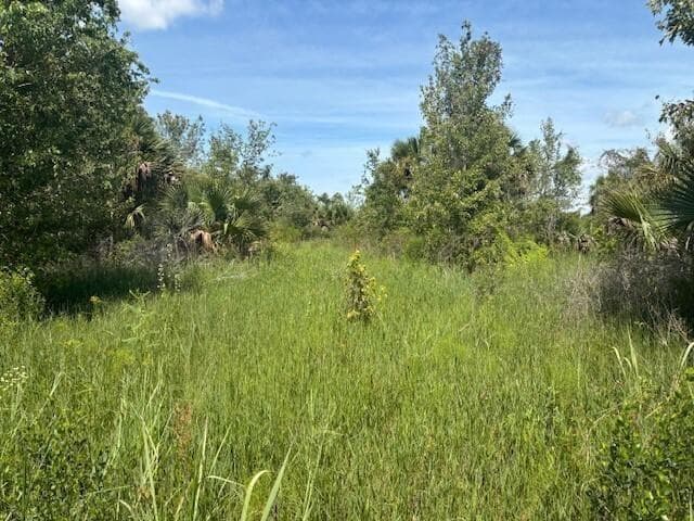 0 NW 310th Street, Okeechobee FL 34972