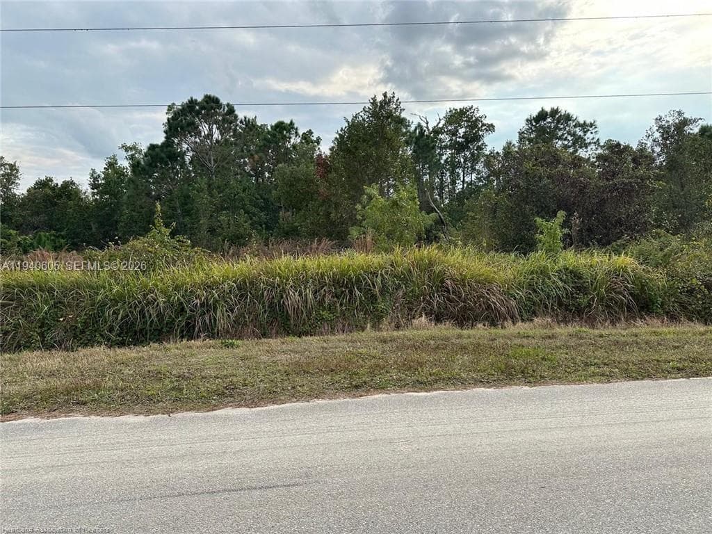 2301 S Avon Estates Blvd, Avon Park FL 33825