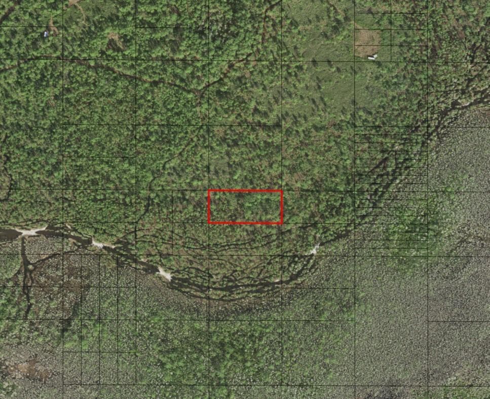 0 Holopaw Groves Road, FL 34772