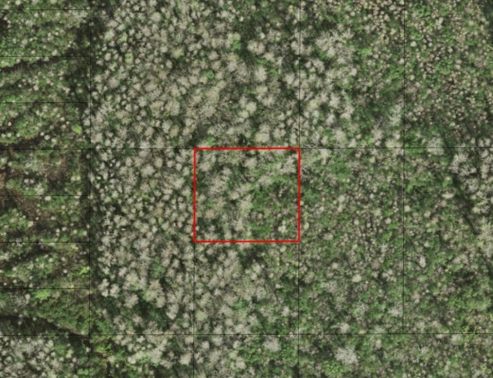 0 Holopaw Groves Road, FL 34772