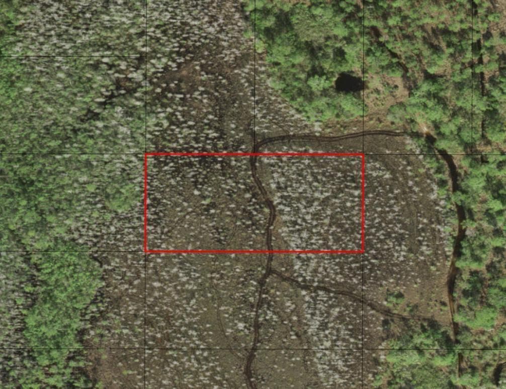0 Holopaw Groves Road, FL 34772
