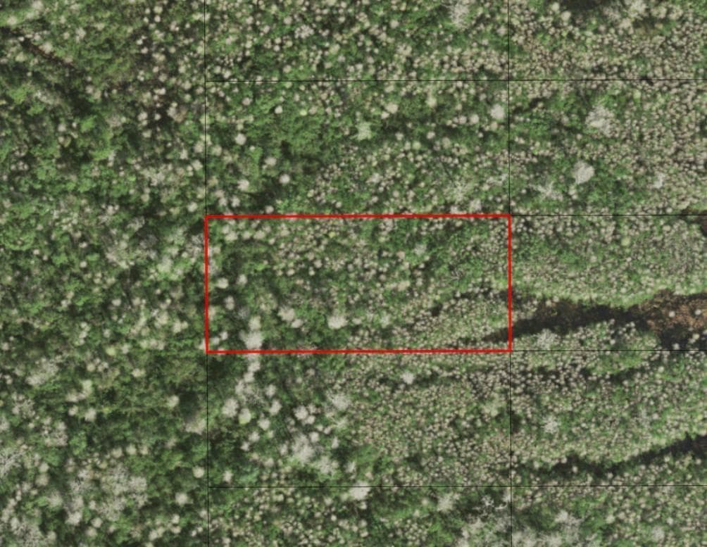 0 Holopaw Groves Road, FL 34772