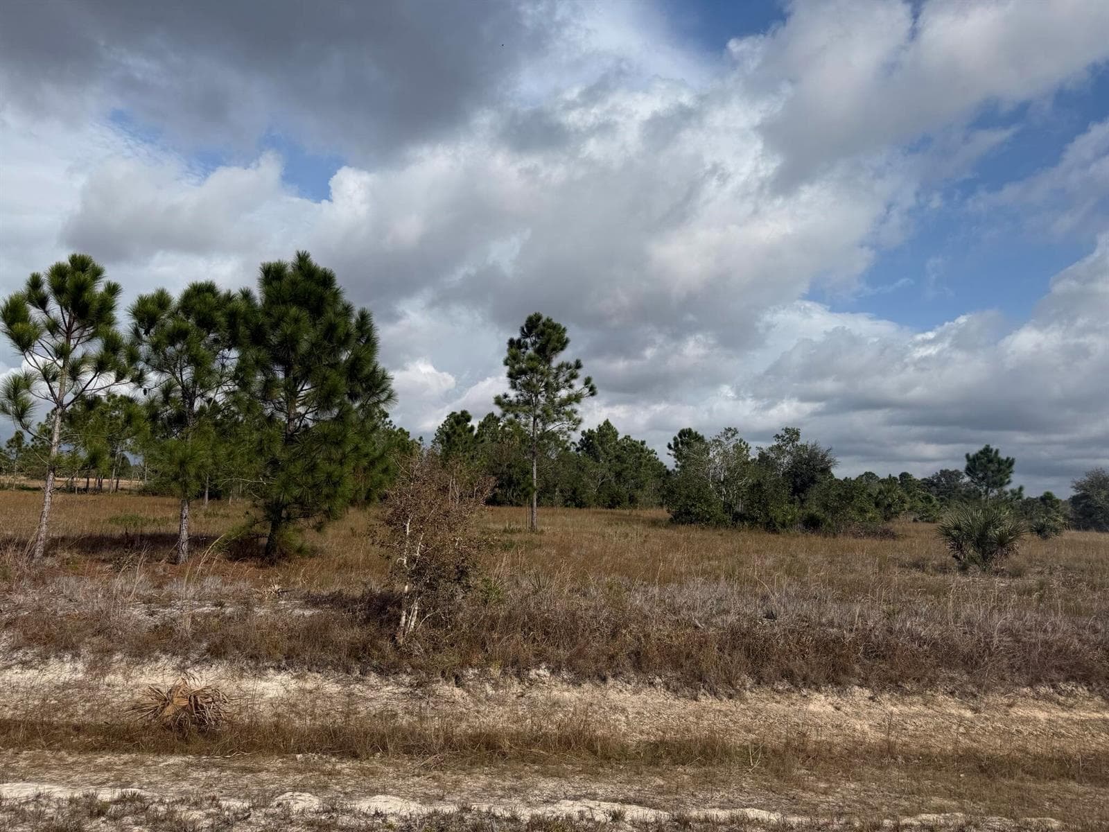 16375 NW 314th Street, Okeechobee FL 34972