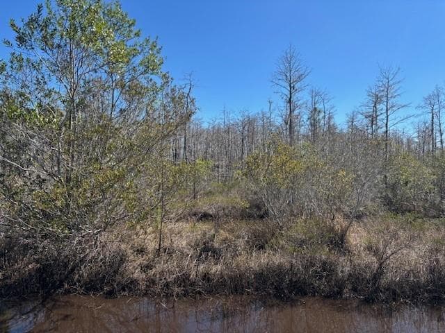 0 Holopaw Groves Road, FL 34772