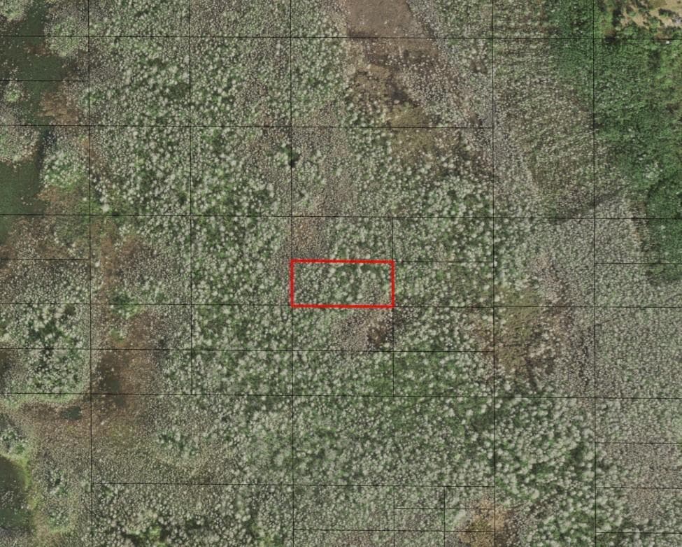 0 Holopaw Groves Road, FL 34772