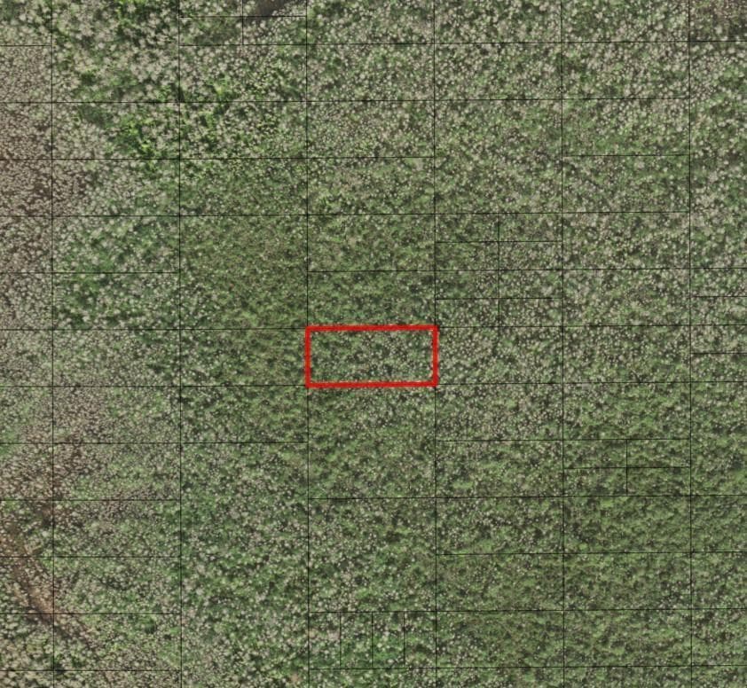 0 Holopaw Groves Road, FL 34772