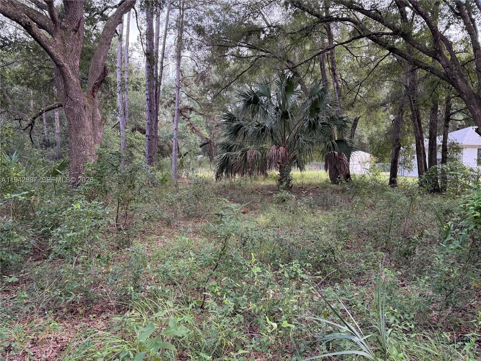 0 St Benedict Dr, Other City - In The State Of Florida FL 34432