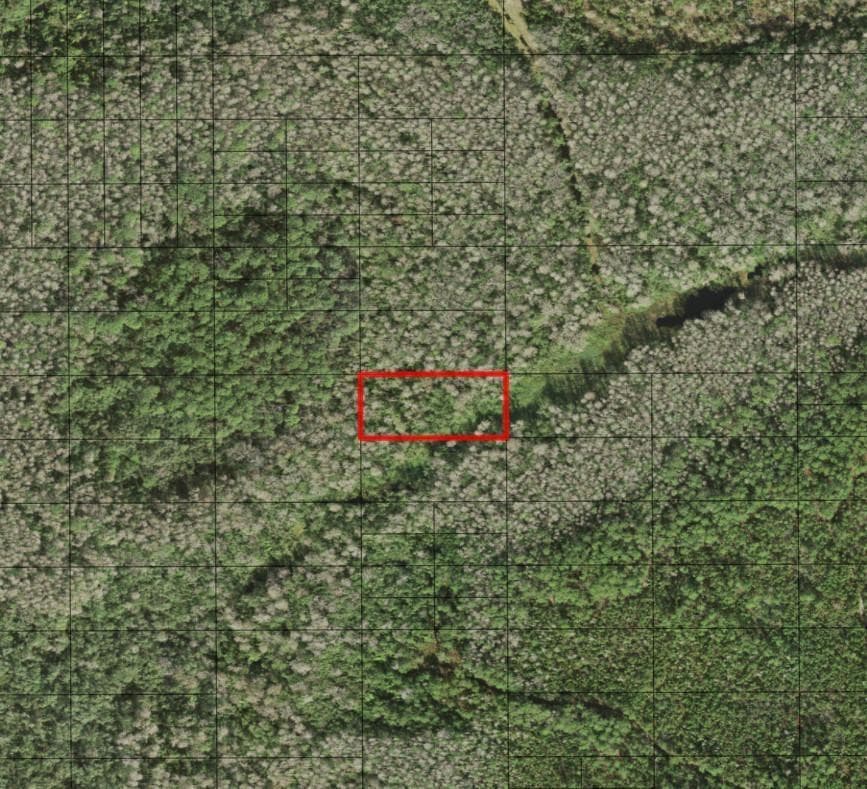 0 Holopaw Groves Road, FL 34772