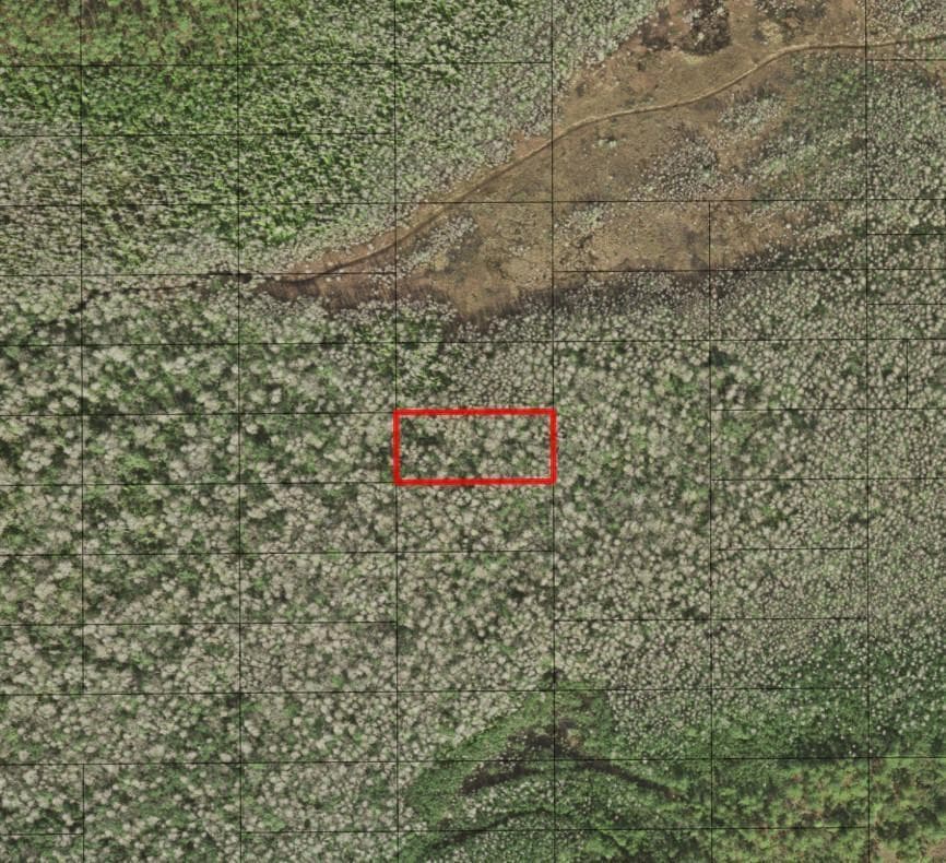 0 Holopaw Groves Road, FL 34772