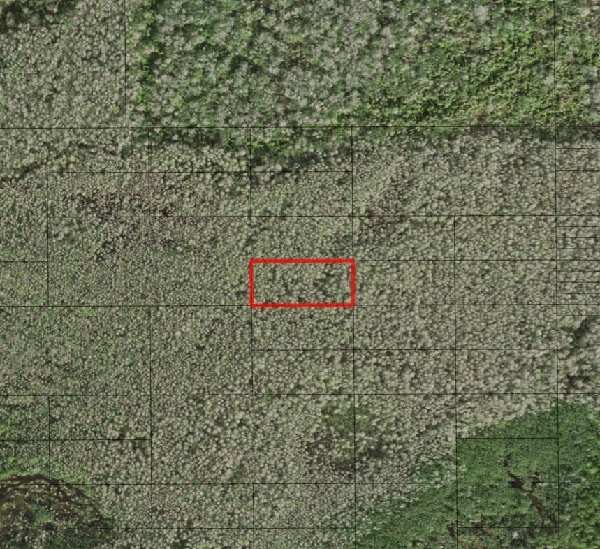 0 Holopaw Groves Road, FL 34772