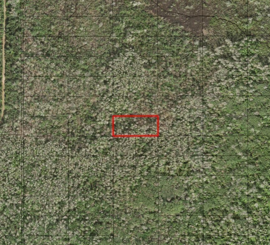 0 Holopaw Groves Road, FL 34772
