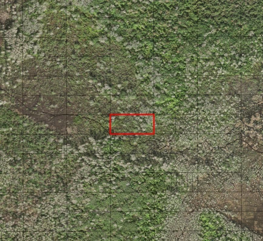 0 Holopaw Groves Road, FL 34772