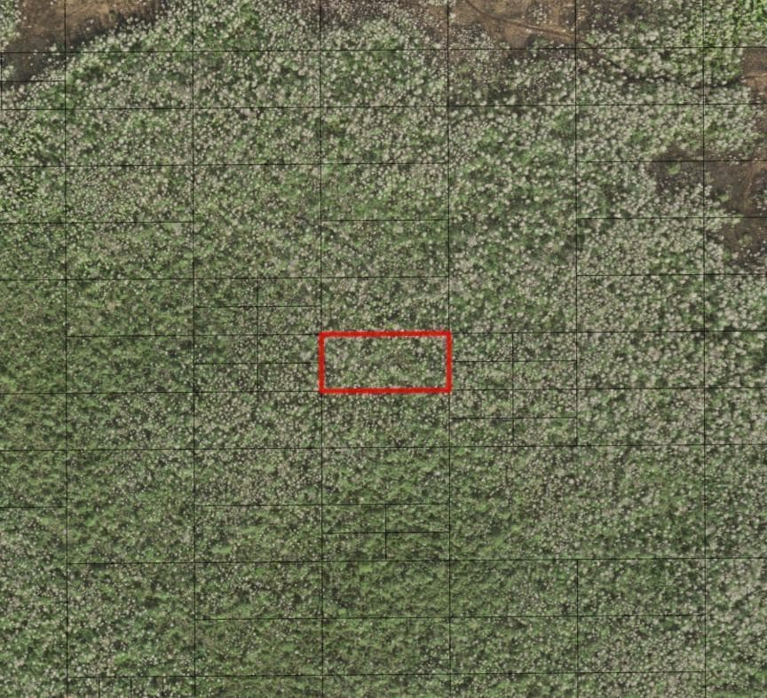0 Holopaw Groves Road, FL 34772