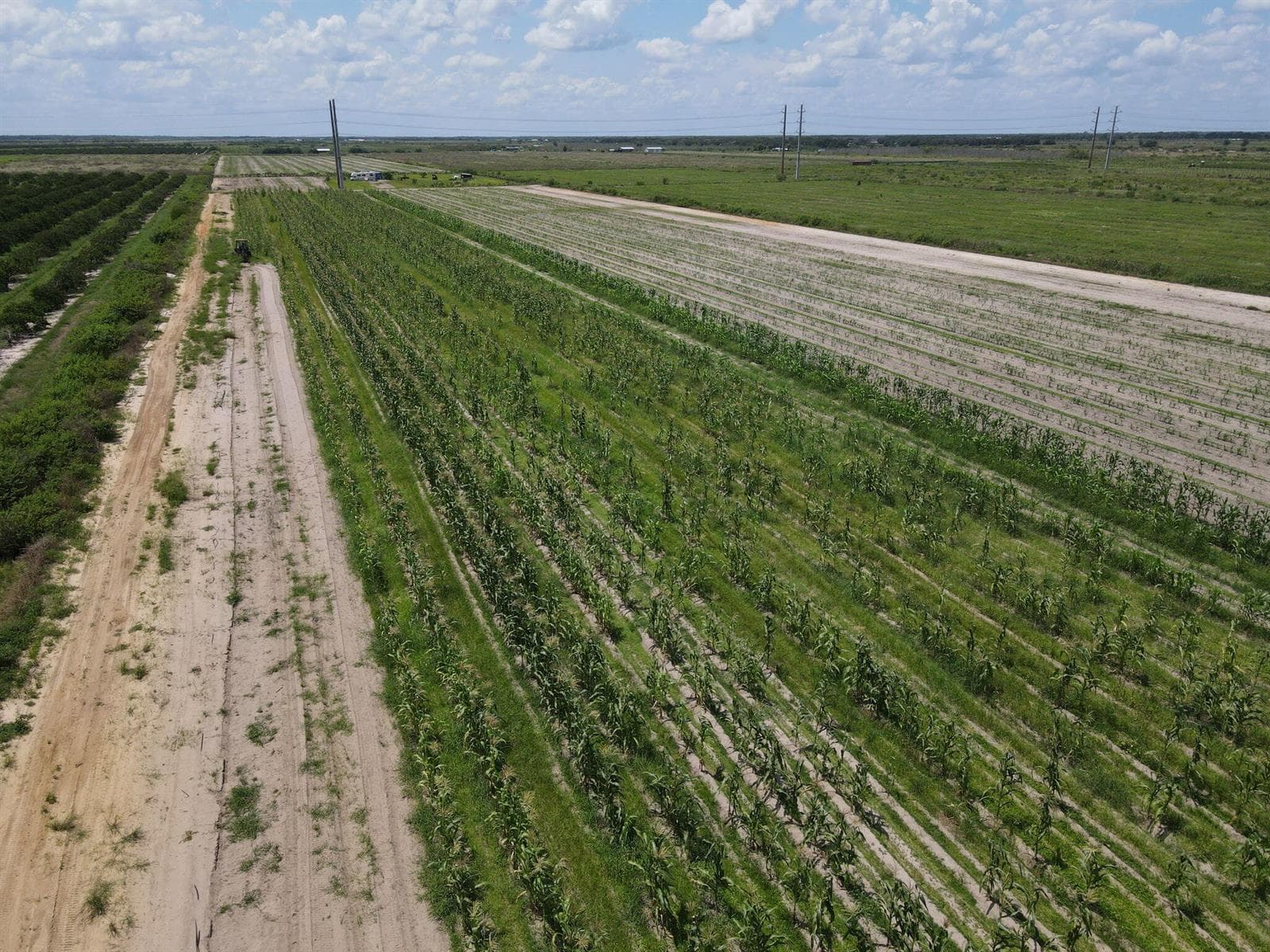 dji_fly_20260814_123512_71_1786725341475
