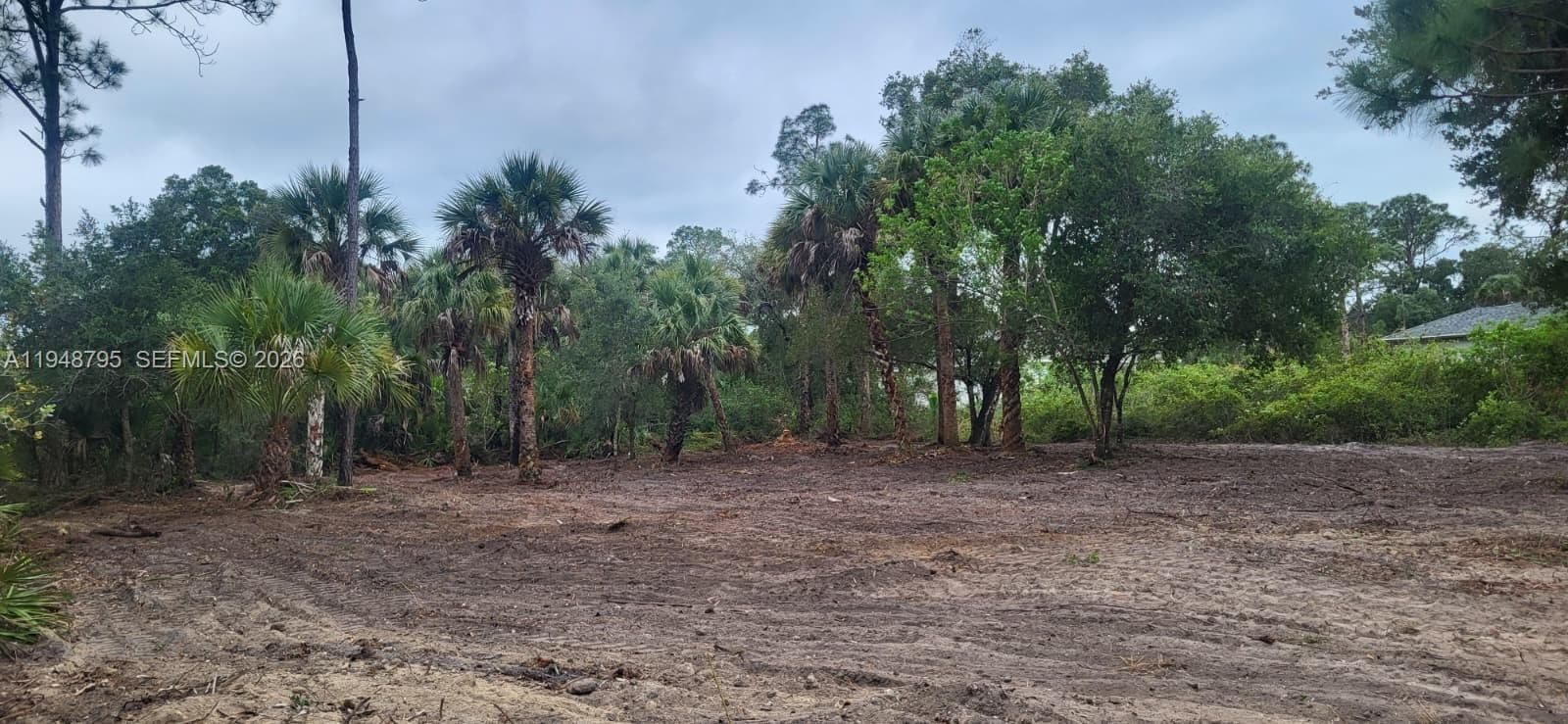 315 Ivanhoe Ave, La Belle FL 33935