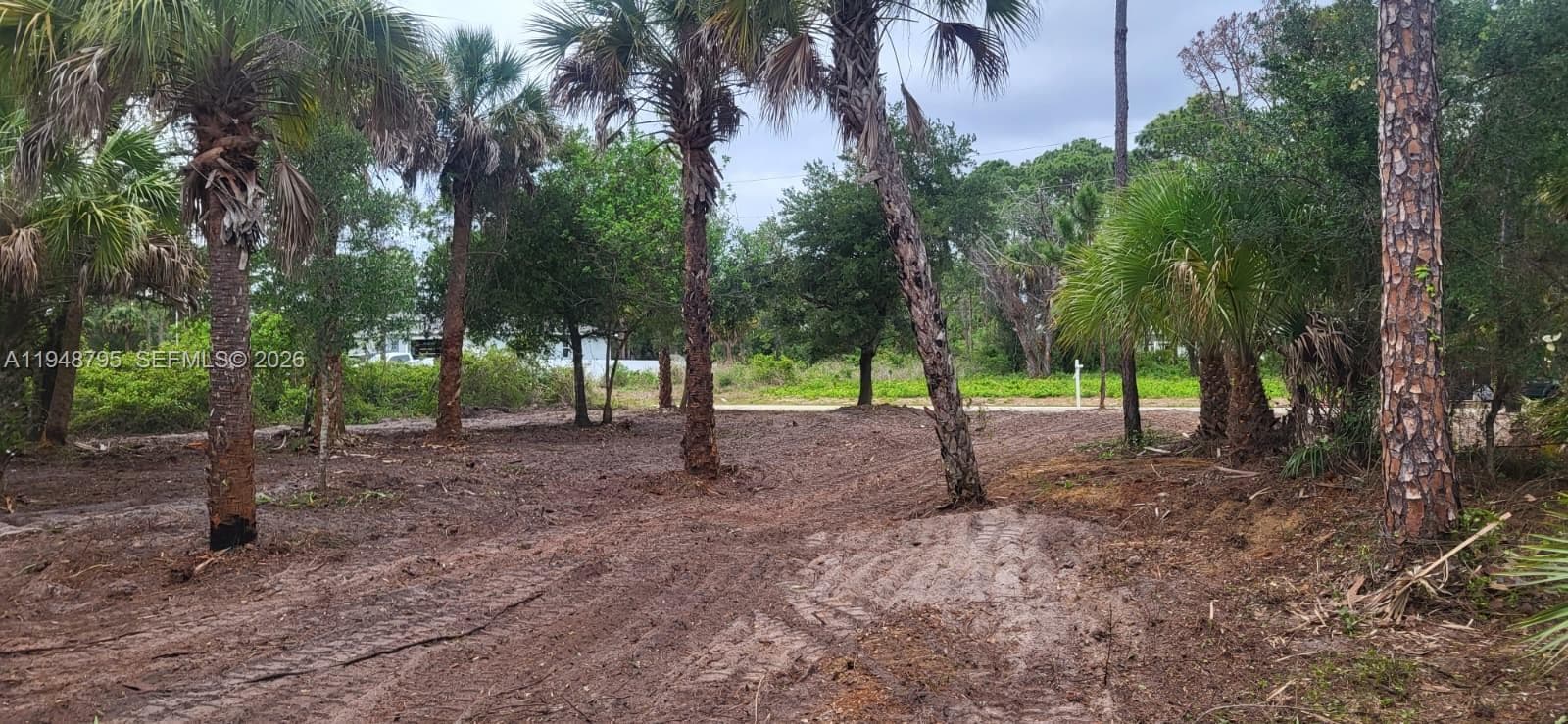 315 Ivanhoe Ave, La Belle FL 33935