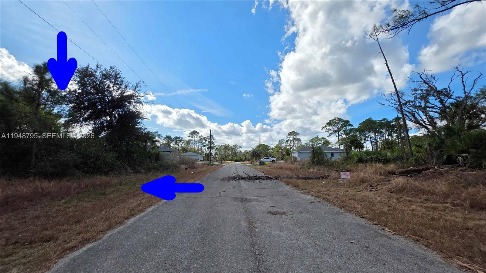 315 Ivanhoe Ave, La Belle FL 33935