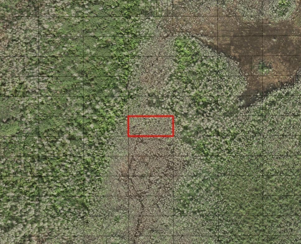 0 Holopaw Groves Road, FL 34772