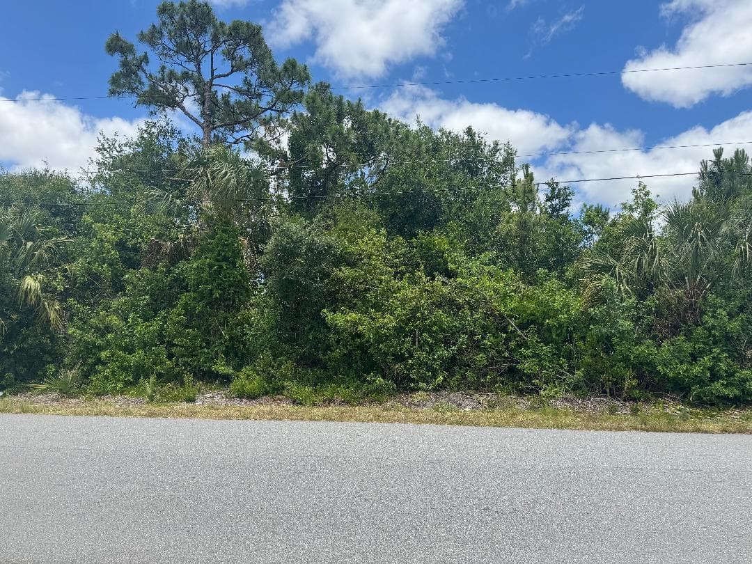 1437 Tidewell Street SE, Palm Bay FL 32909