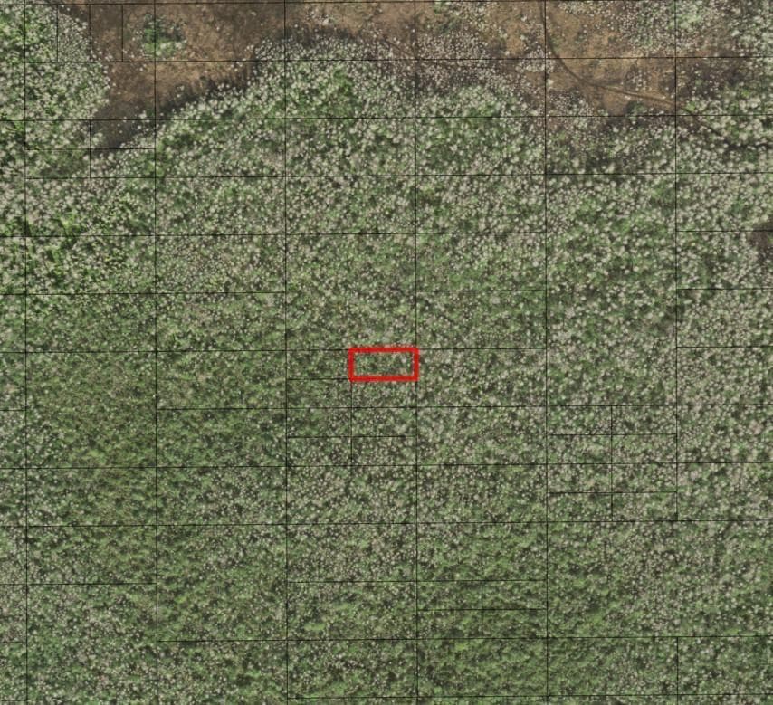 0 Holopaw Groves Road, FL 34772