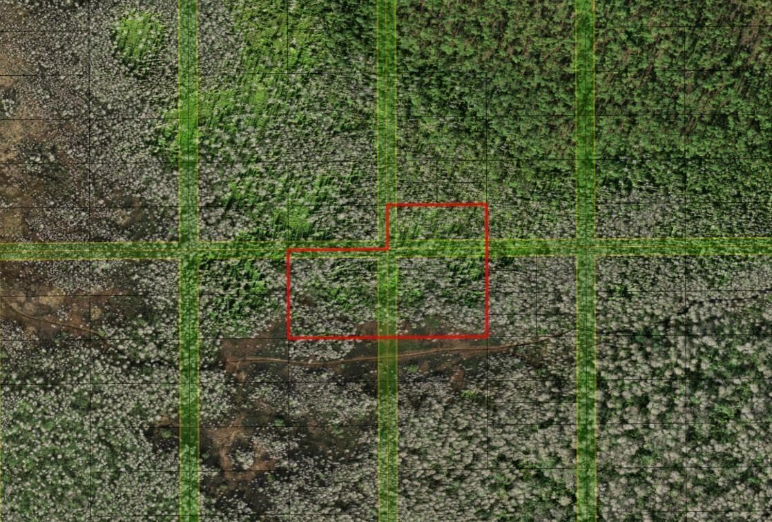 0 Holopaw Groves Road, FL 34772