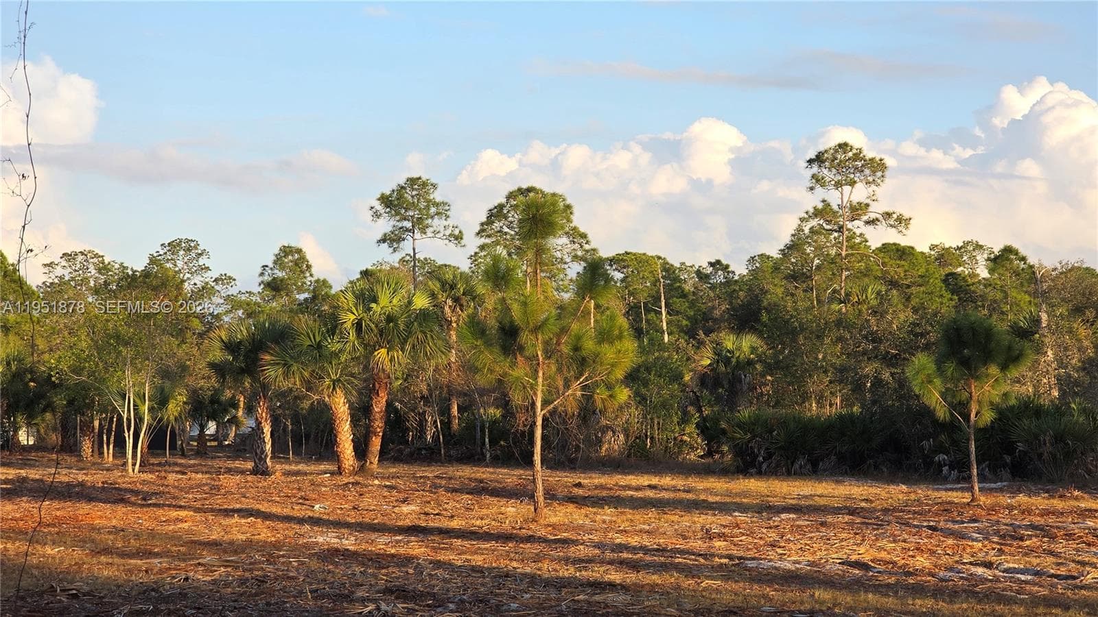 545 S Datil ST, Clewiston FL 33440