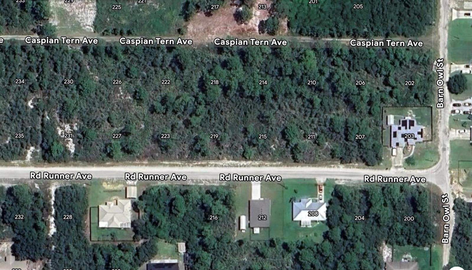215 Roadrunner Avenue, Sebring FL 33870