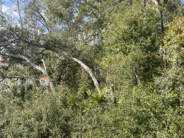000 Malauka Cir Circle, FL 32179