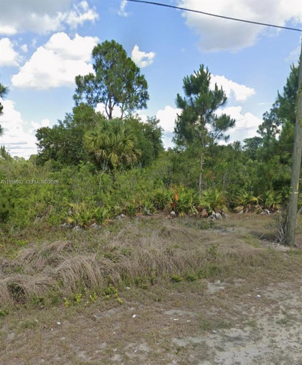 169 Thornton Ave S, Lehigh Acres FL 33974