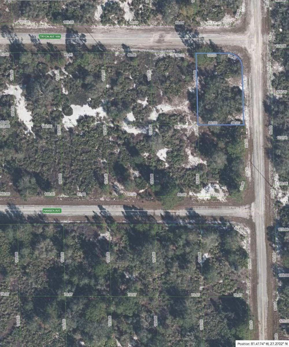 100 Tryon Avenue NW, Lake Placid FL 33852