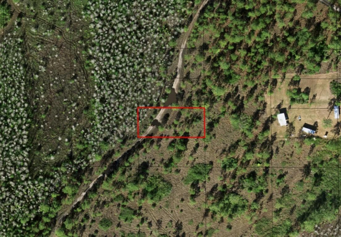 0 Holopaw Groves Road, FL 34772