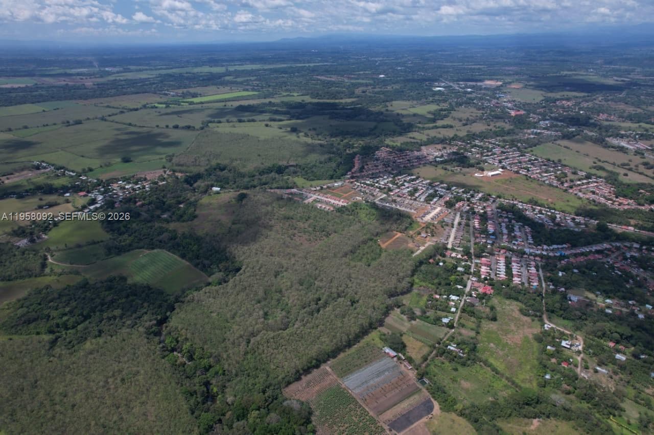 Mature Teak Plantation San Pablo Viejo, Chiriqui, Panama
