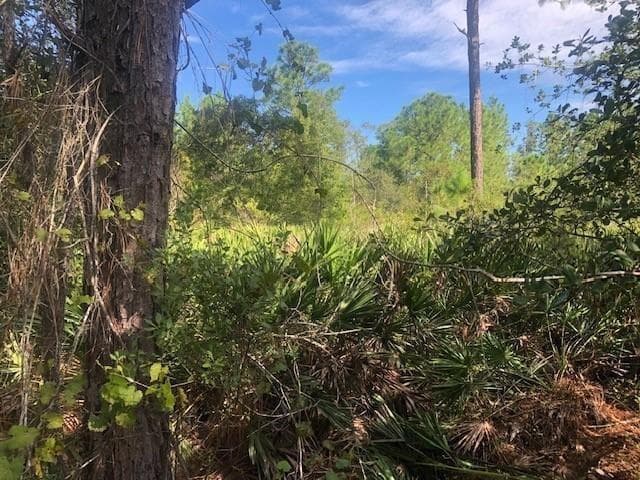 0 Old Grade Road, FL 33868