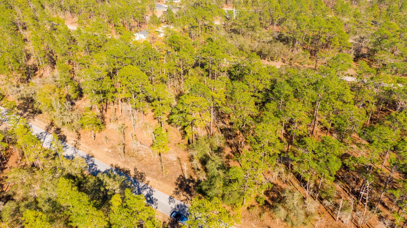 DJI_0935