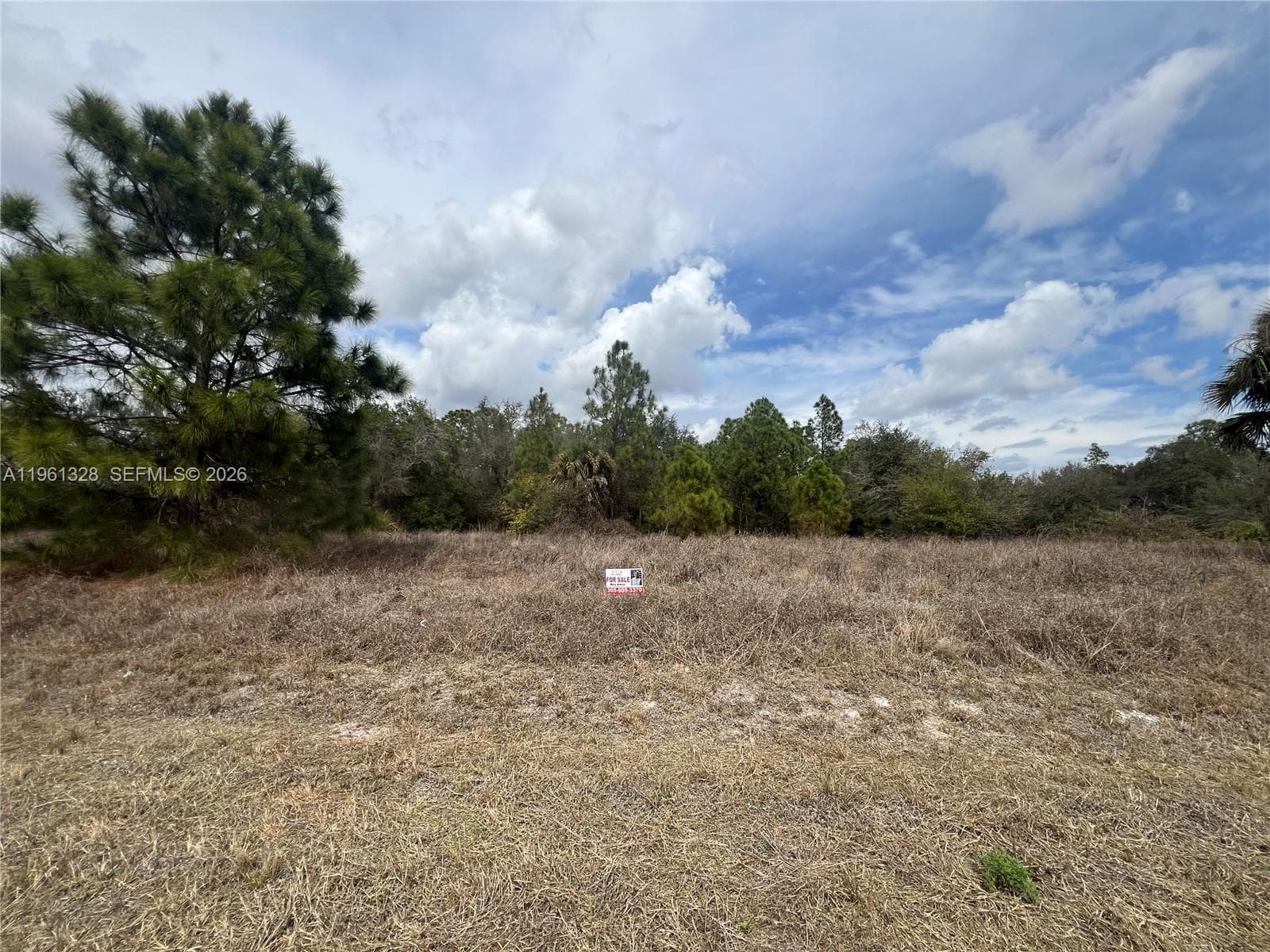 2805 E 16 St, Lehigh Acres FL 33972