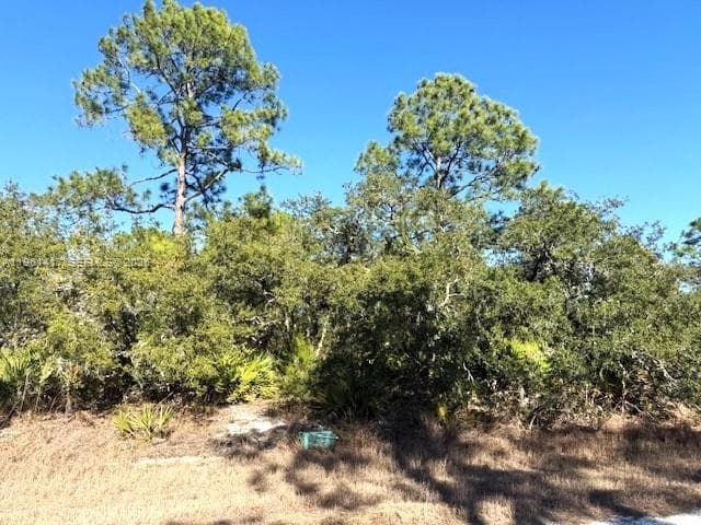 3221 N Dahlia, Lake Placid FL 33852