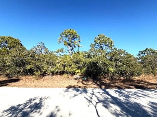 3221 N Dahlia, Lake Placid FL 33852