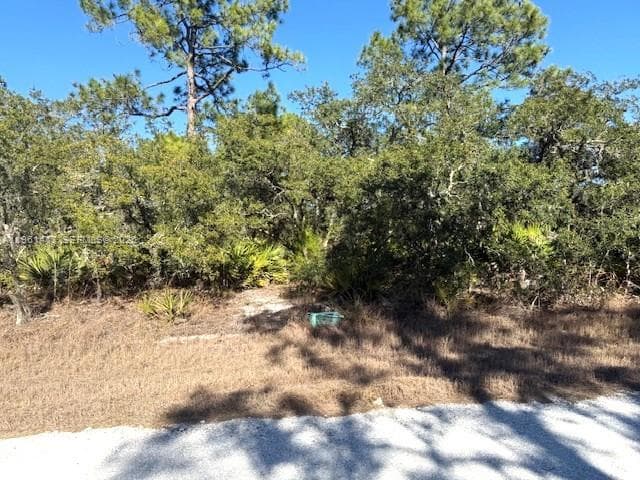 3221 N Dahlia, Lake Placid FL 33852
