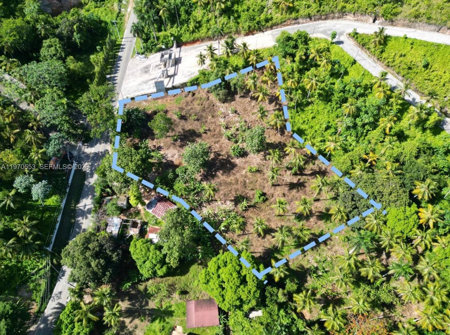 000 7CWM+V4G Las Terrenas, Dominican Republic, FL