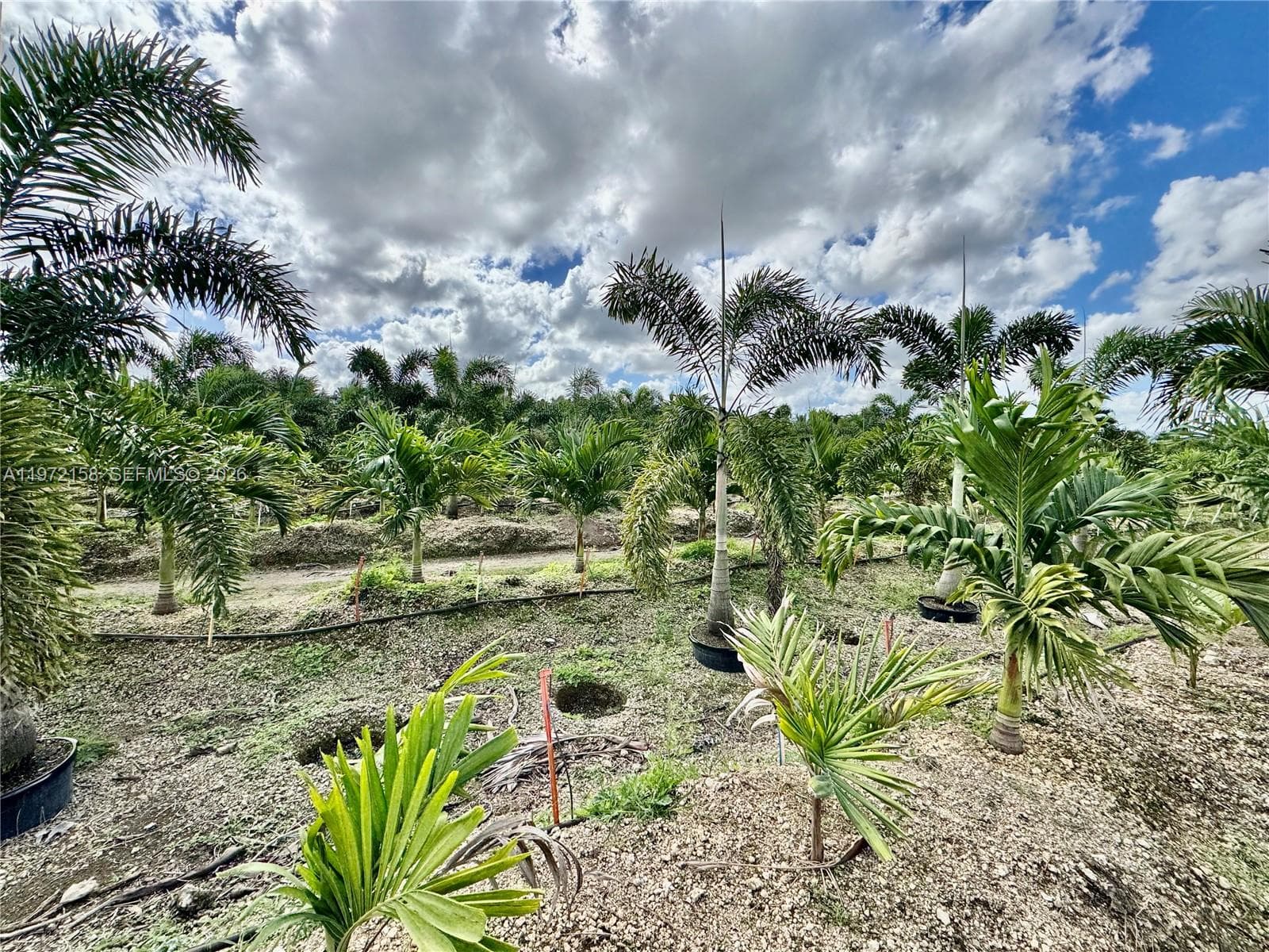 32802 SW 202 Ave, Homestead FL 33034