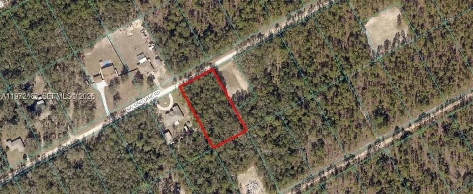 342 Gloaming Drive, Lake Placid FL 33852