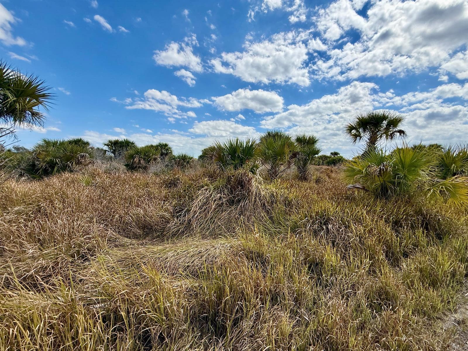 1909 Comer Terrace SW, Palm Bay FL 32908
