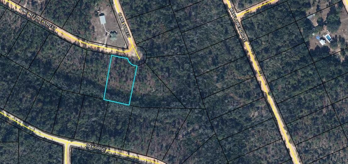 Tbd Pine Needle Street, FL 32448