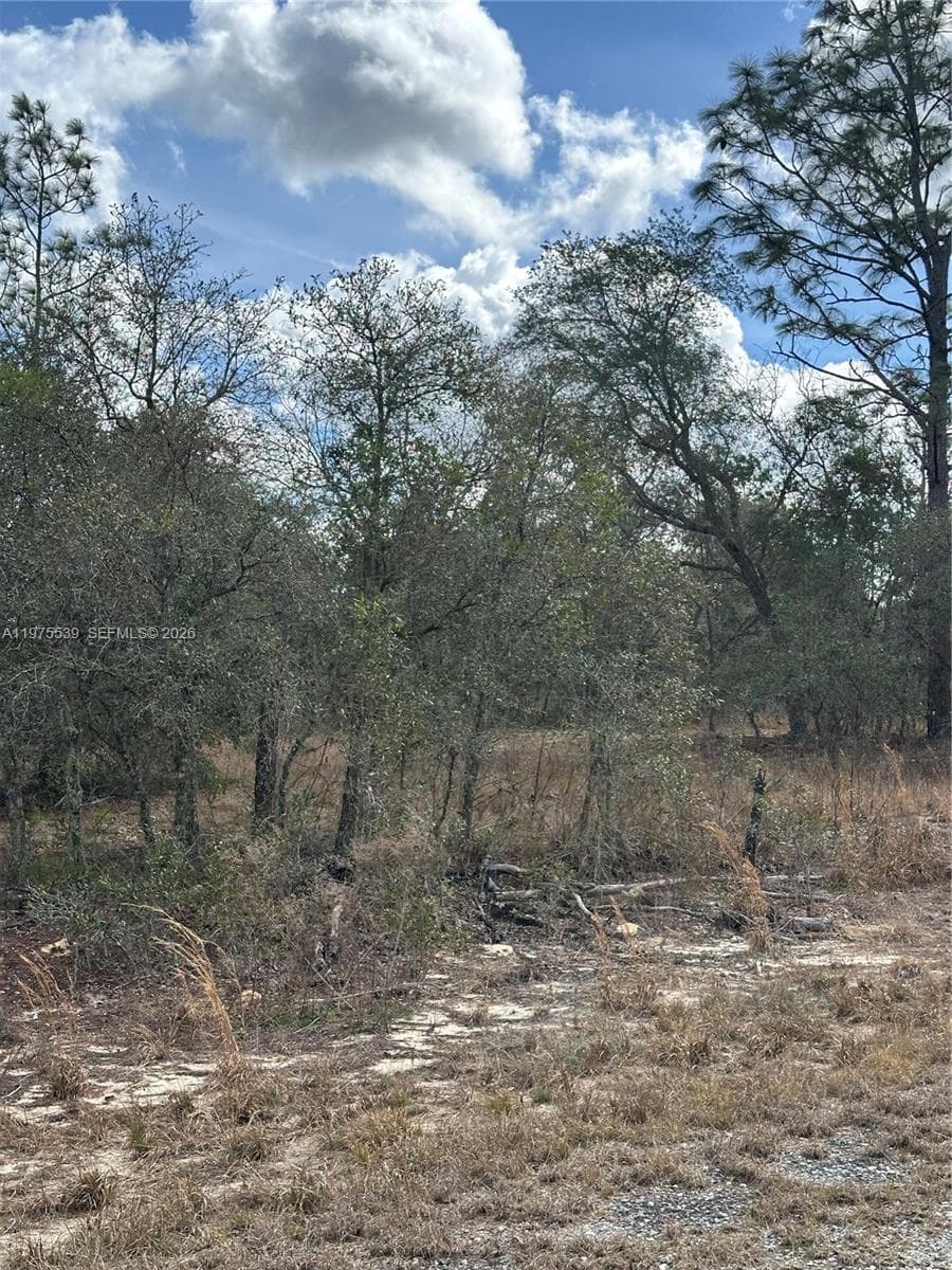 Other City - In The State Of Florida, FL, 34431